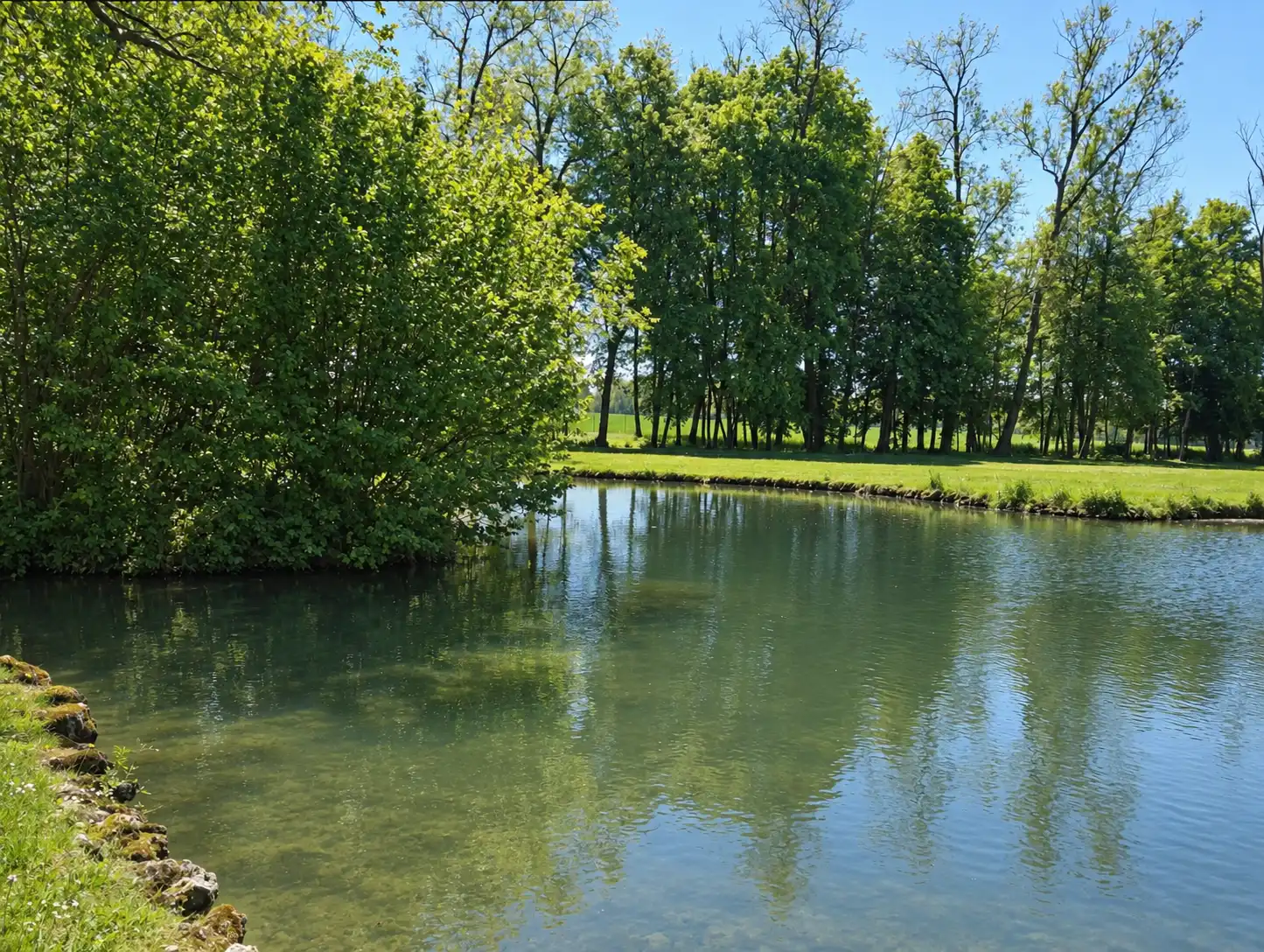 Passerelle blanche en contre-plongée depuis l'étang, verdure tout autour