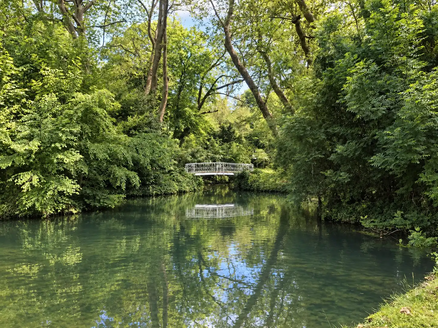 Rivière aux eaux vertes bordée d'arbres, passerelle au loin