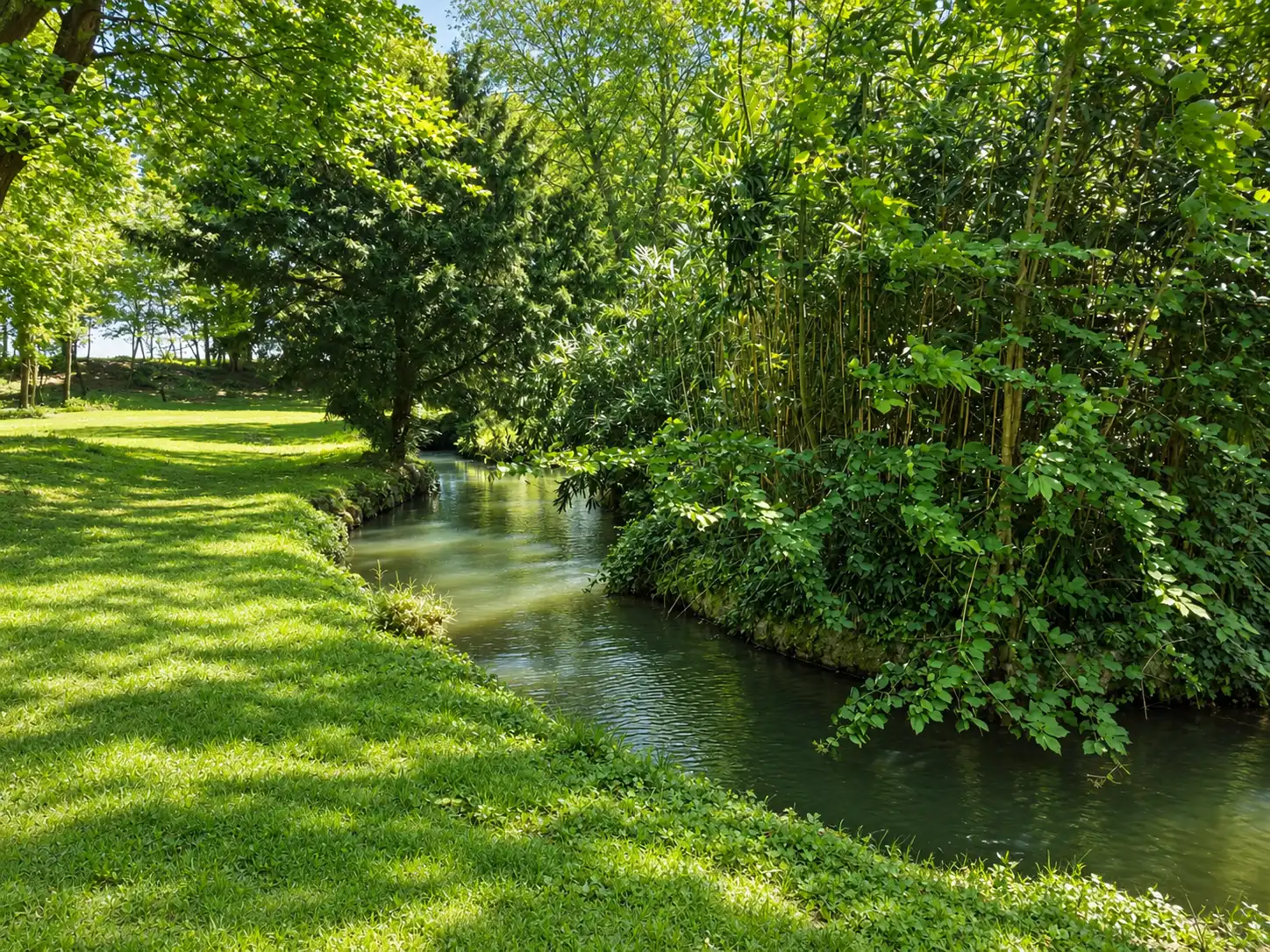 Méandre de la rivière entre une pelouse et un massif de bambous